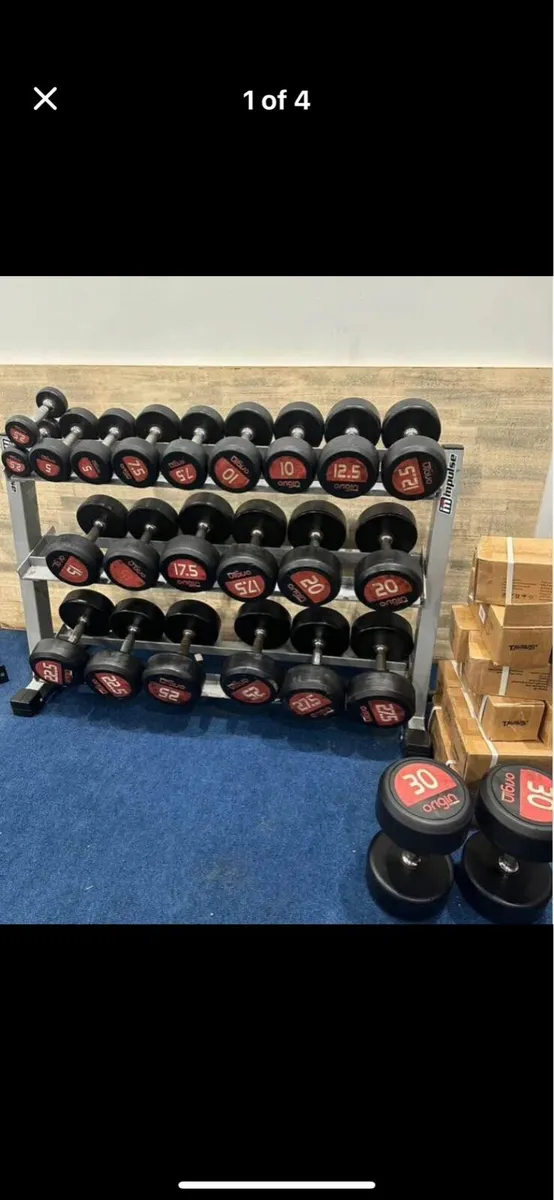 Origin Dumbbells - Image 1