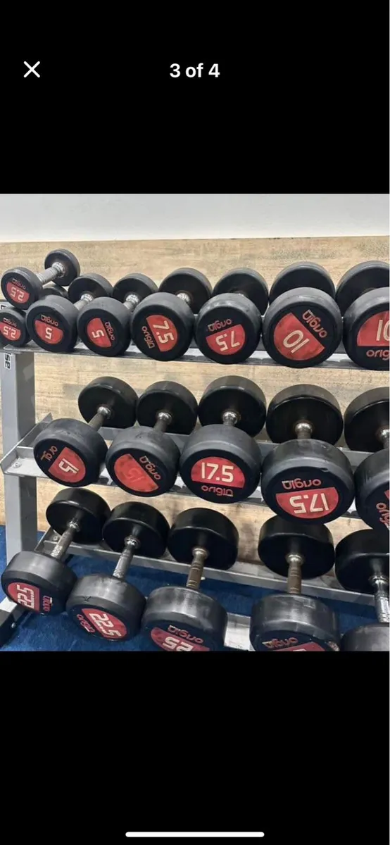 Origin Dumbbells - Image 2