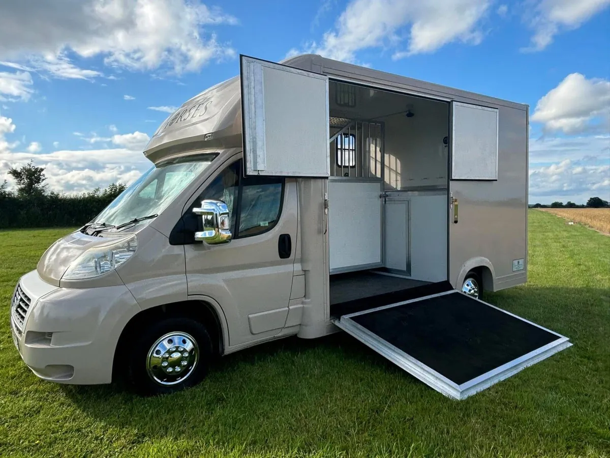 Fiat Ducato Horse lorry 3.5T horse box 2 stall - Image 1
