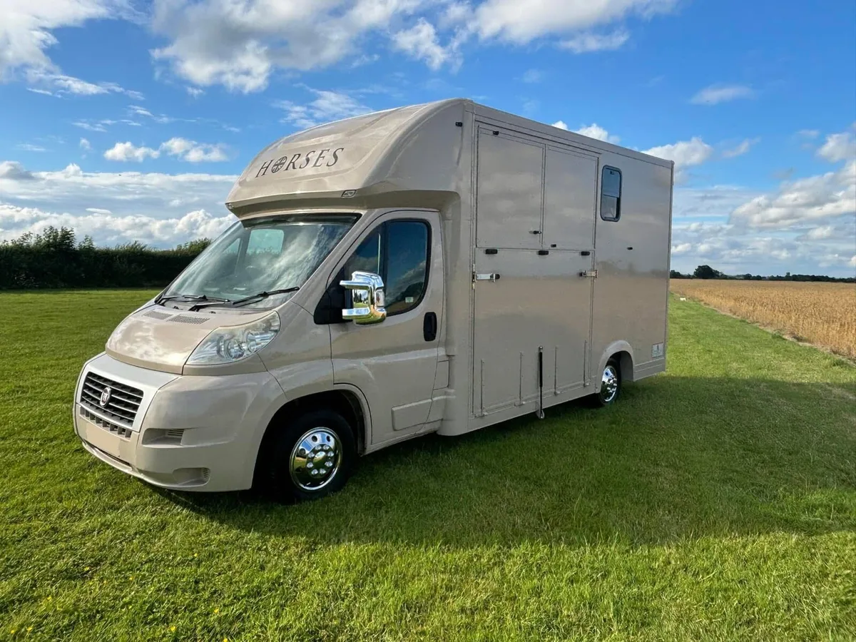 Fiat Ducato Horse lorry 3.5T horse box 2 stall - Image 2