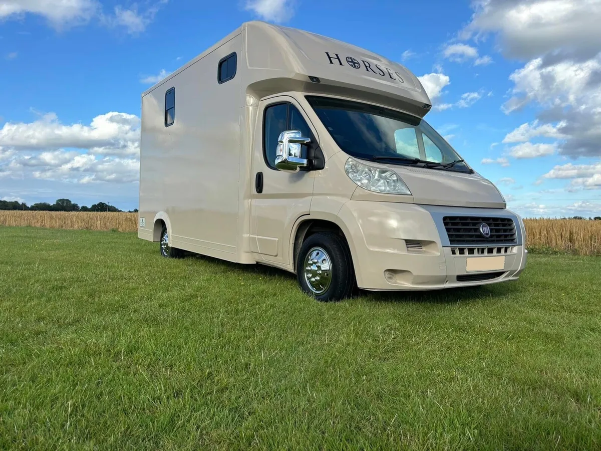 Fiat Ducato Horse lorry 3.5T horse box 2 stall - Image 3