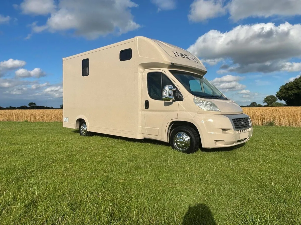 Fiat Ducato Horse lorry 3.5T horse box 2 stall - Image 4