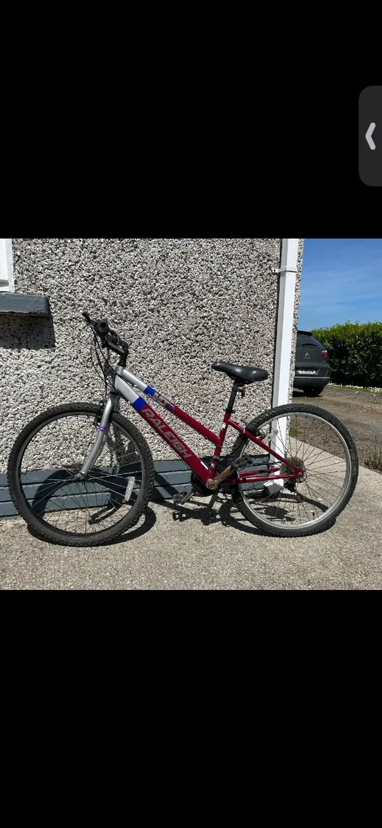 Bike - Image 1