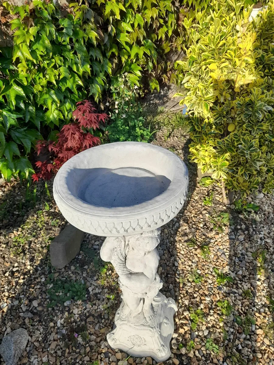 Large Bird Bath - New - 85 - Image 2