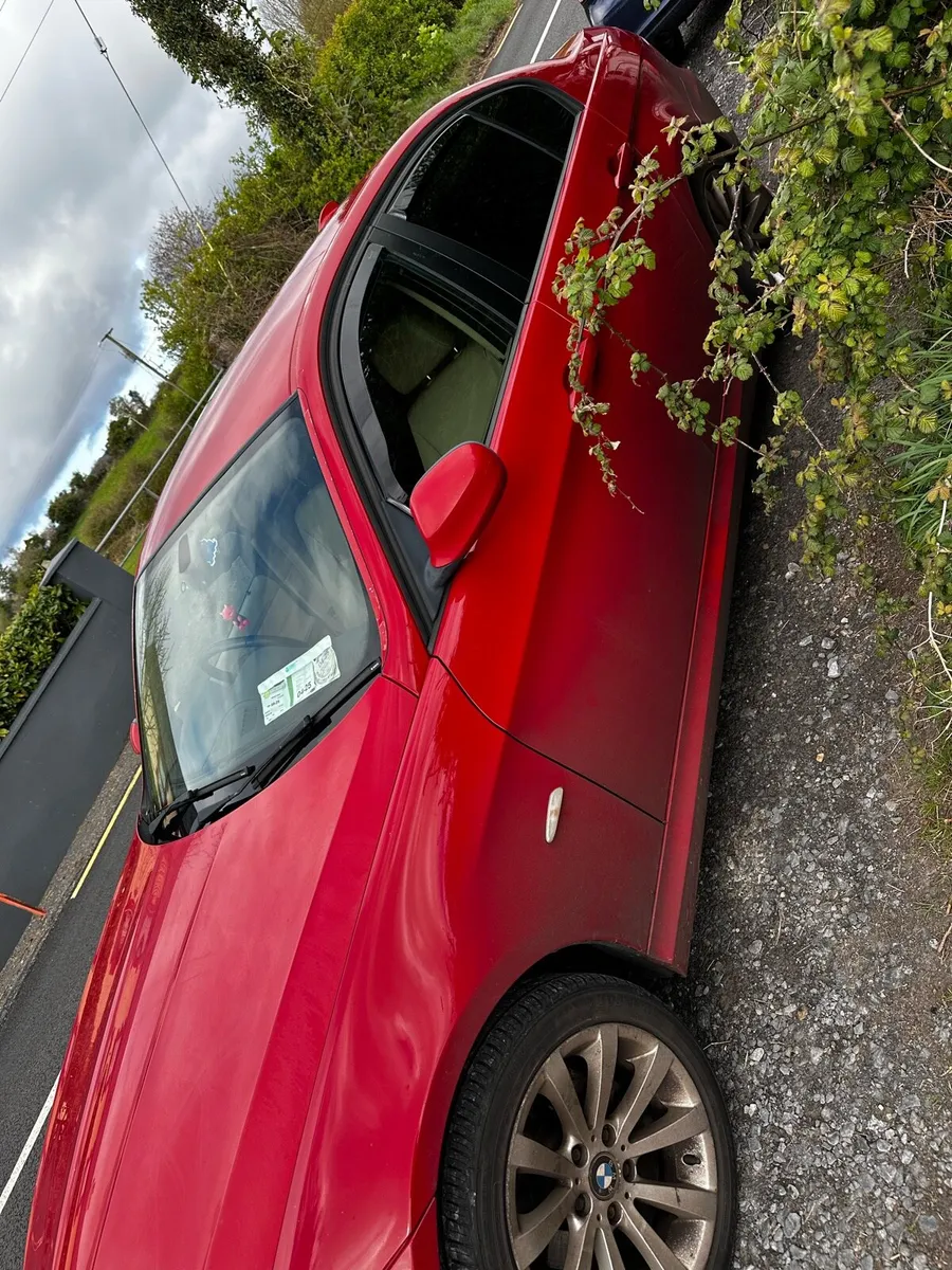 BMW 318d 2010 - Image 2
