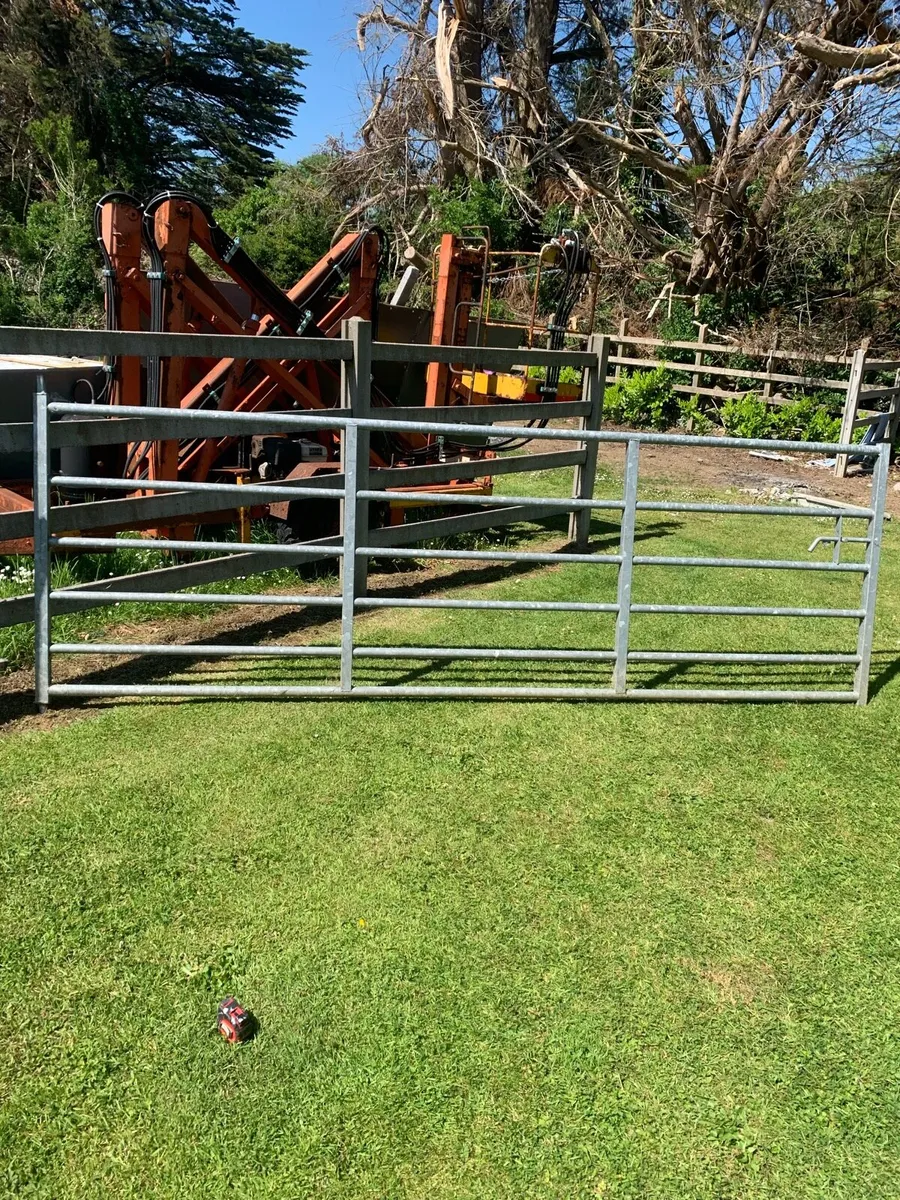 12 ‘ Heavy Duty Field Gate - Image 1