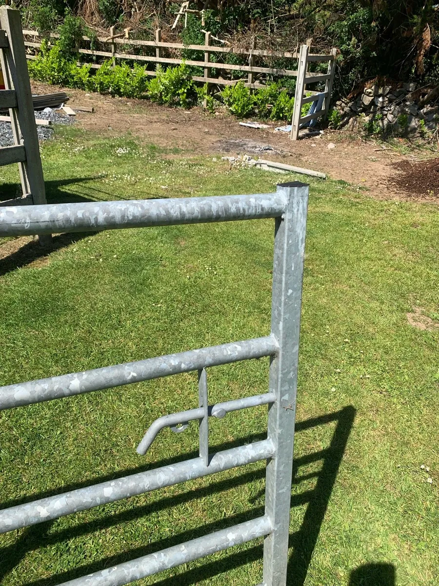 12 ‘ Heavy Duty Field Gate - Image 2