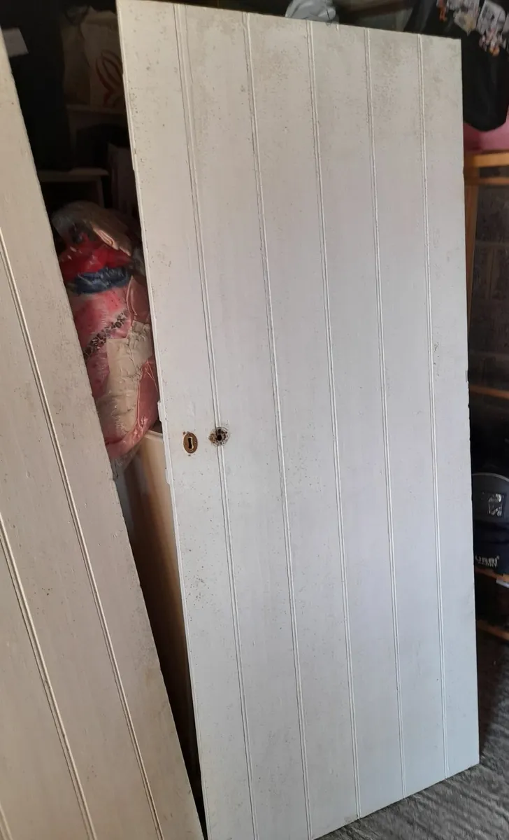 Internal Vintage doors - Image 3