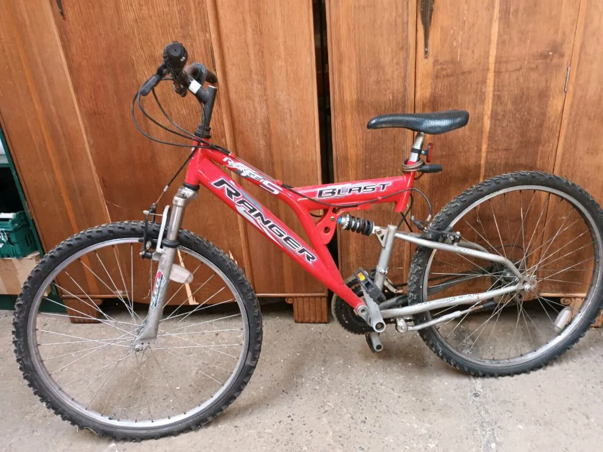 Adult Bicycle - Image 1