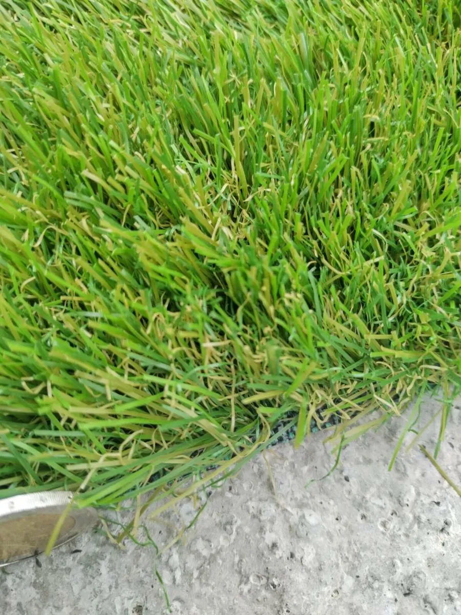 8m x 4m grass available - Image 2