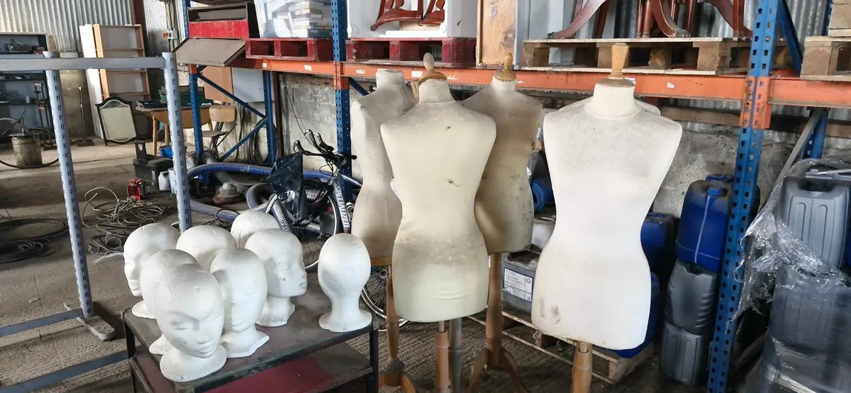 Mannequin