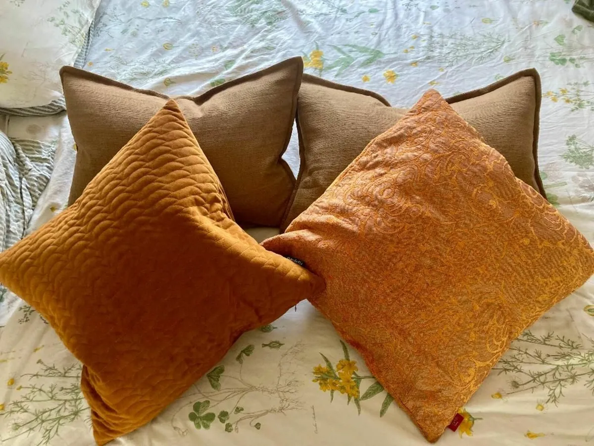 Four feather cushions - Image 1
