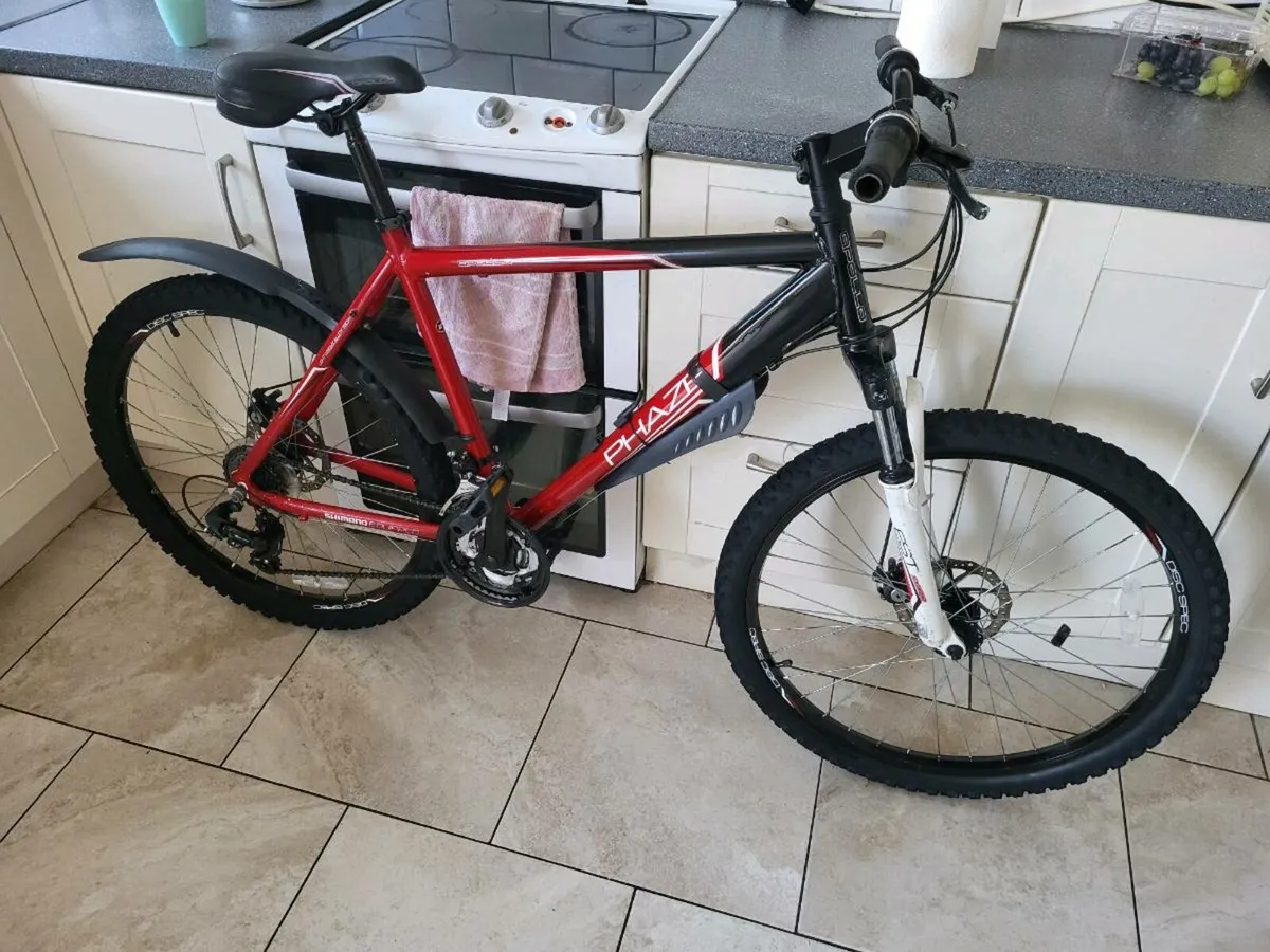 Bike Large man's mountain bike - Image 1