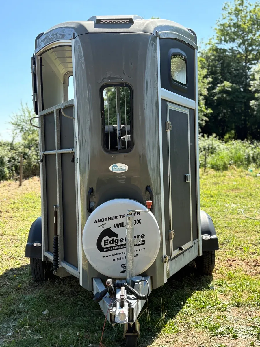 NUGENT horse trailer for sale - Image 2