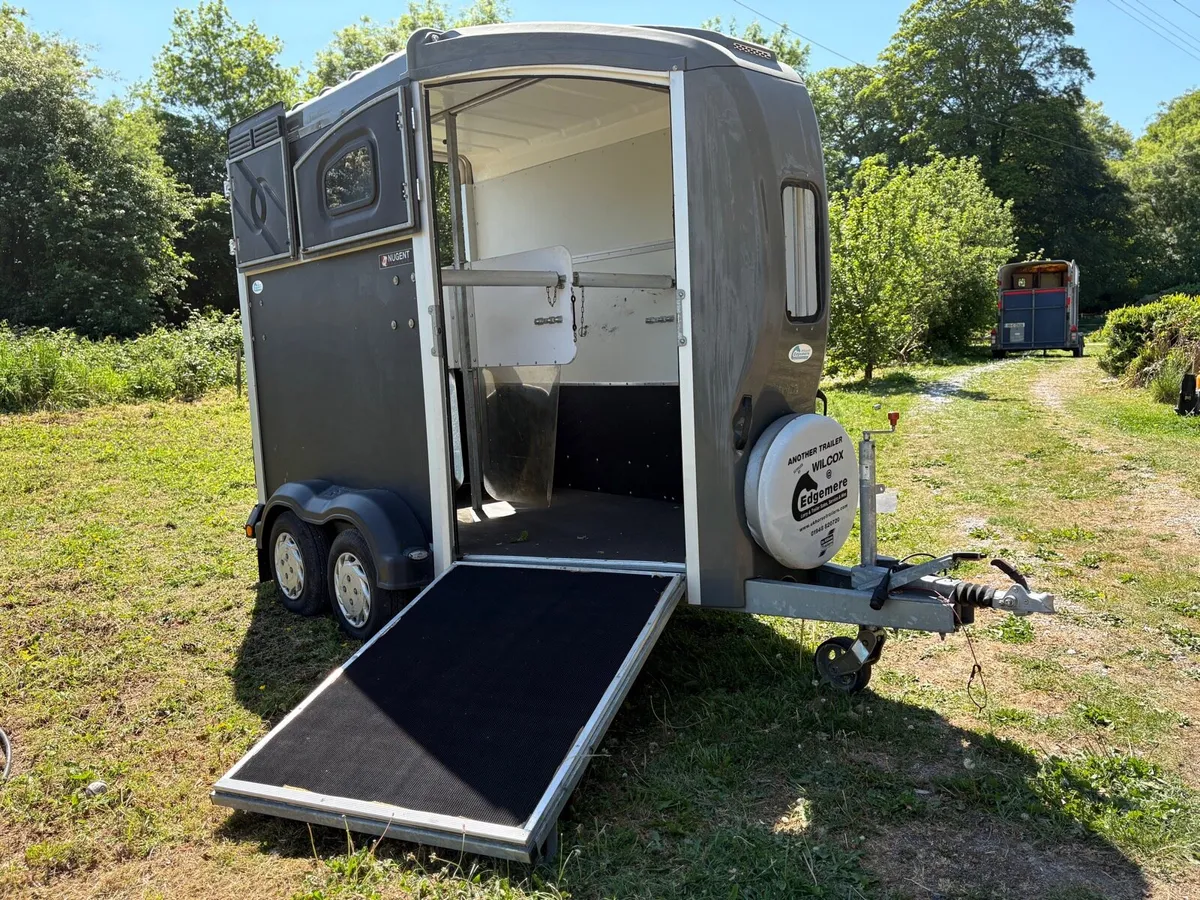 NUGENT horse trailer for sale - Image 4