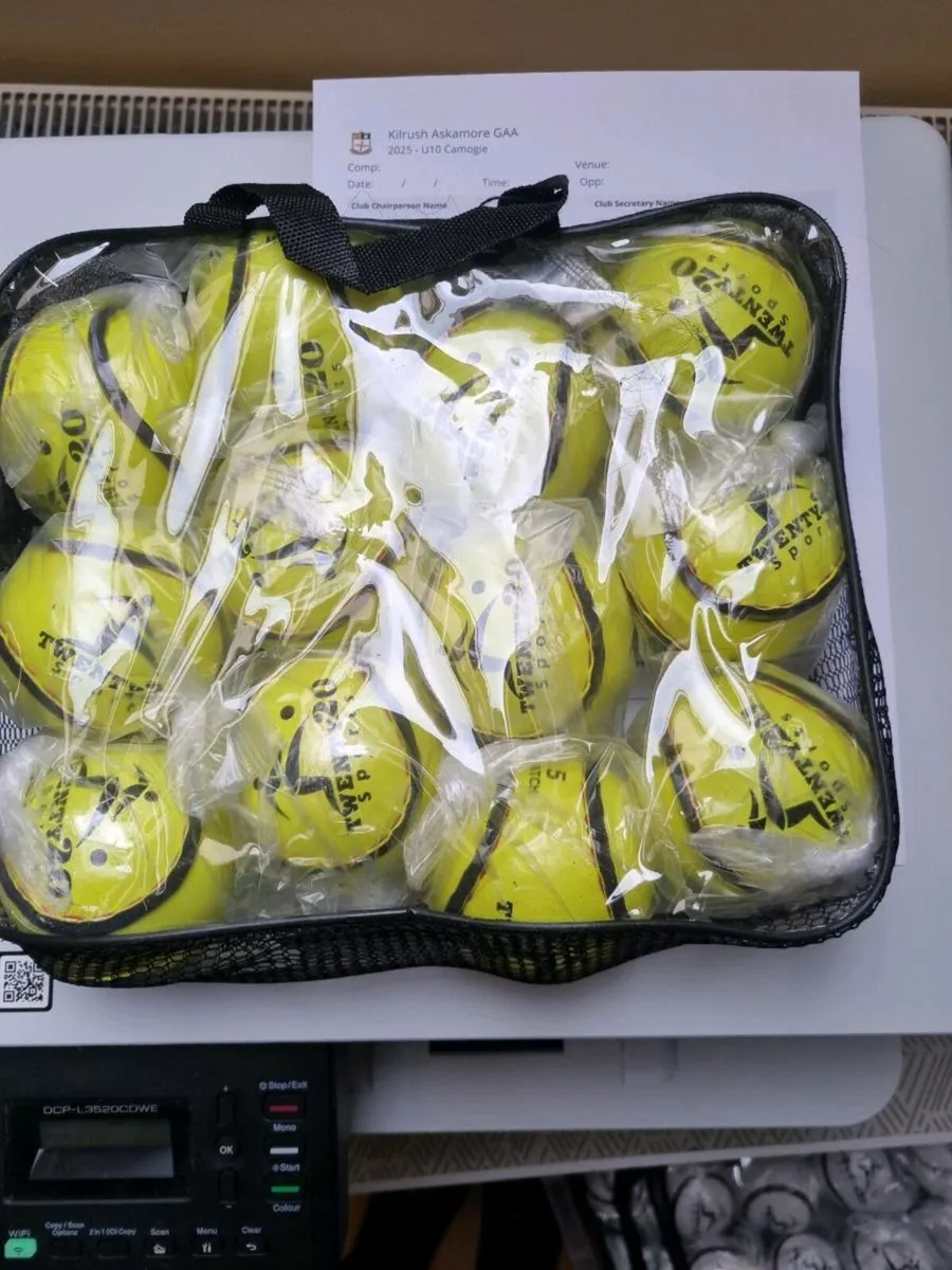 Good Quality Training Sliotars - Image 1