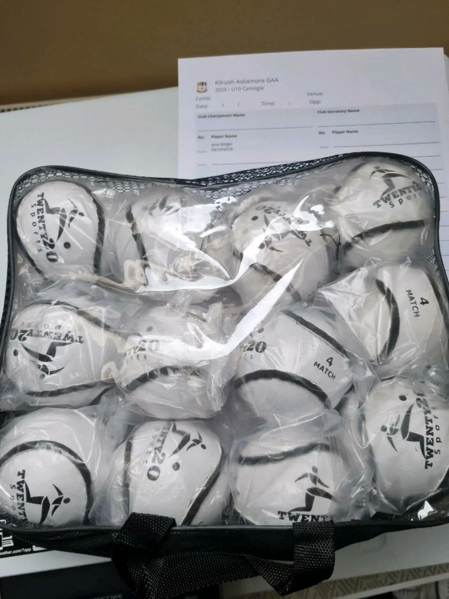 Good Quality Training Sliotars - Image 2