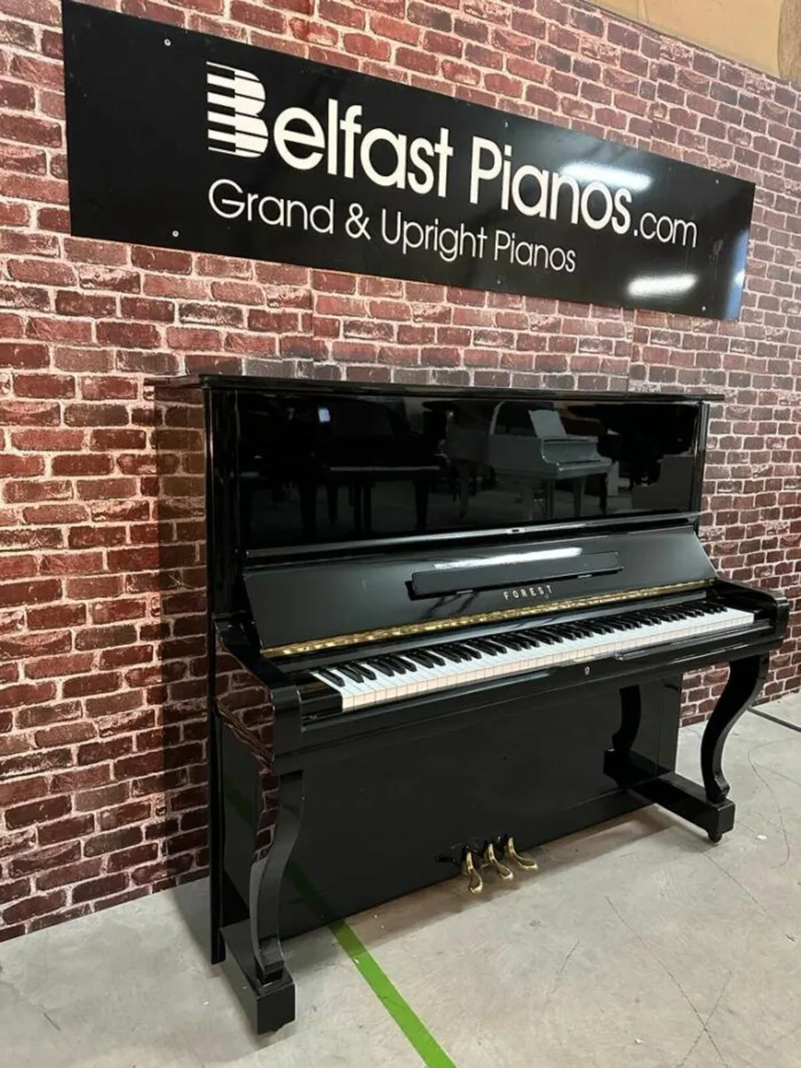 Forest Upright Piano | Model FU-55 | Black U3