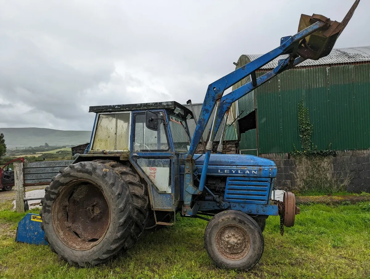 Leyland 384 - Image 1