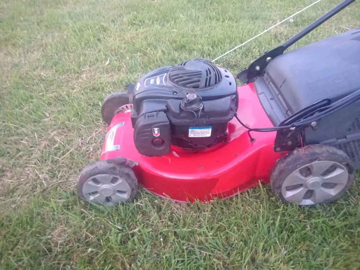 Lawnmowers - Image 4