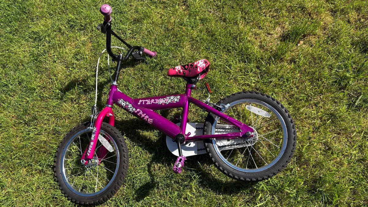 Bicycle - Image 2