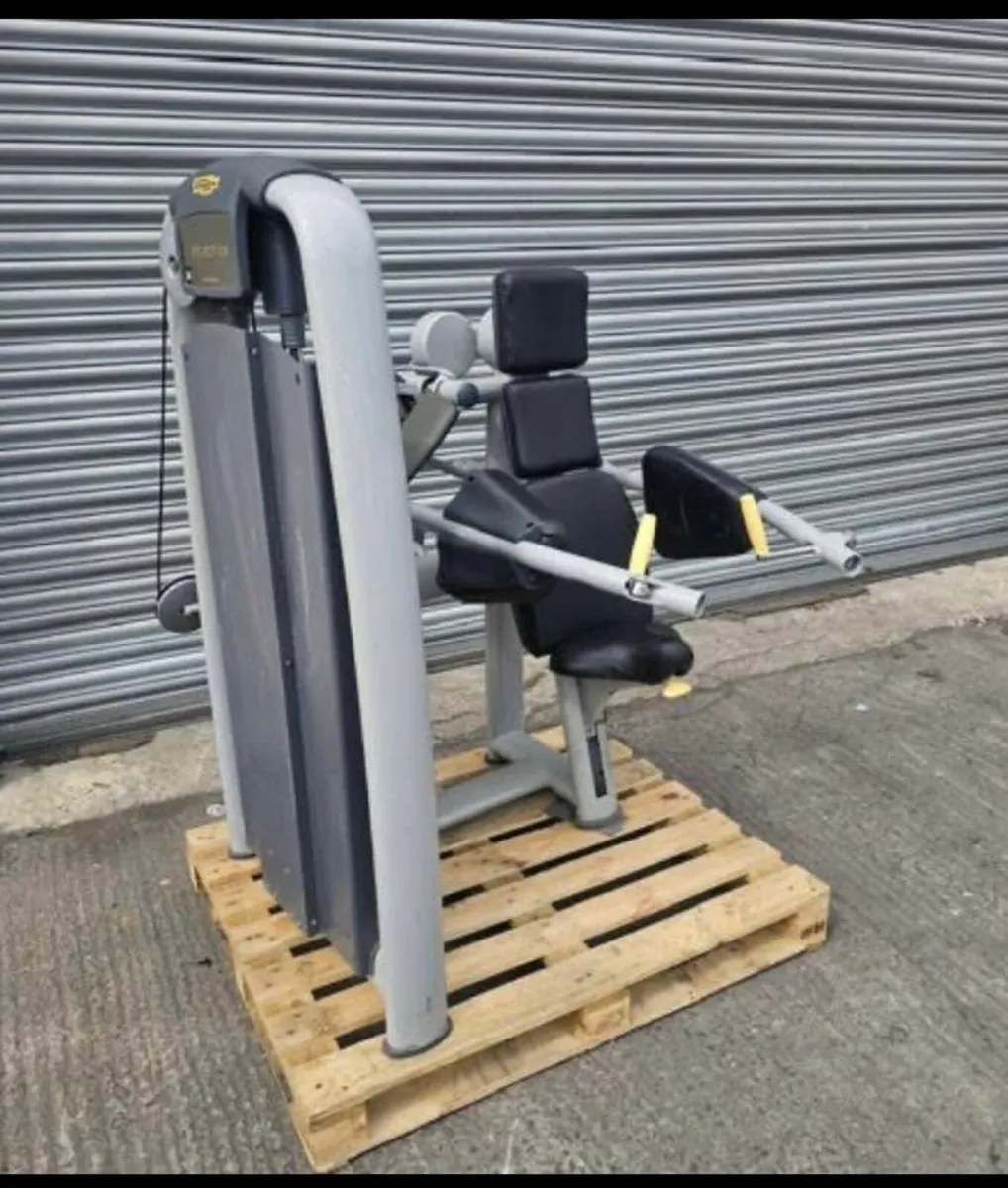 Technogym side raise - Image 1