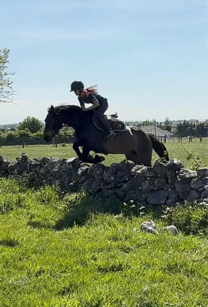 5yo- 150cm  Class 1 - Image 3