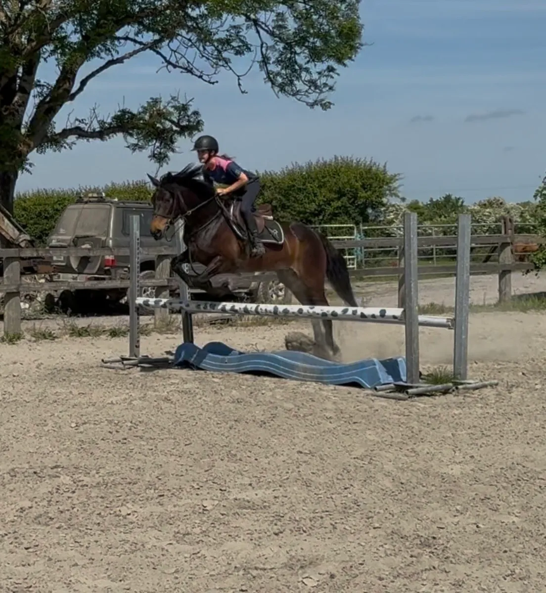 5yo- 150cm  Class 1 - Image 4