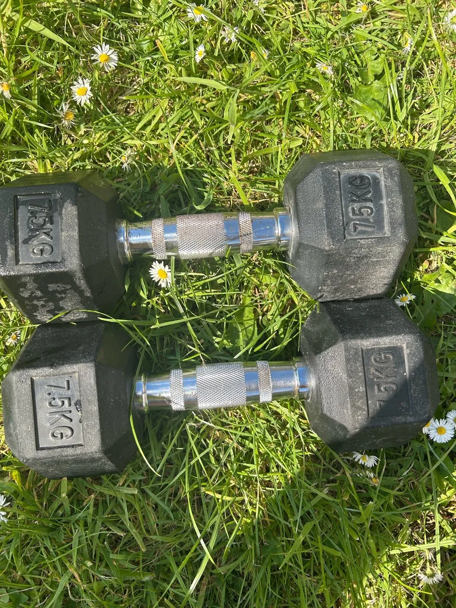 Dumbbells - Image 1
