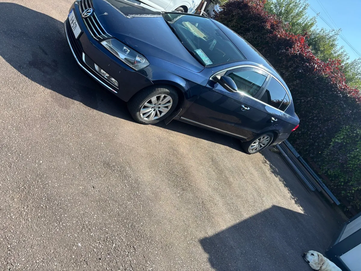 Volkswagen Passat - Image 2