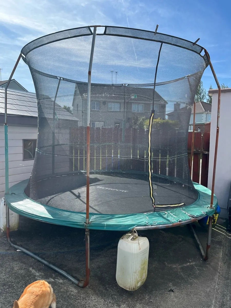 Trampoline - Image 1