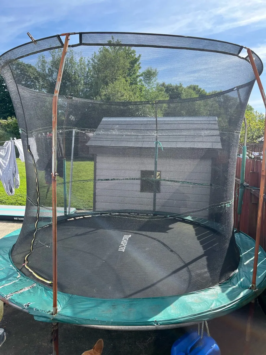 Trampoline - Image 2
