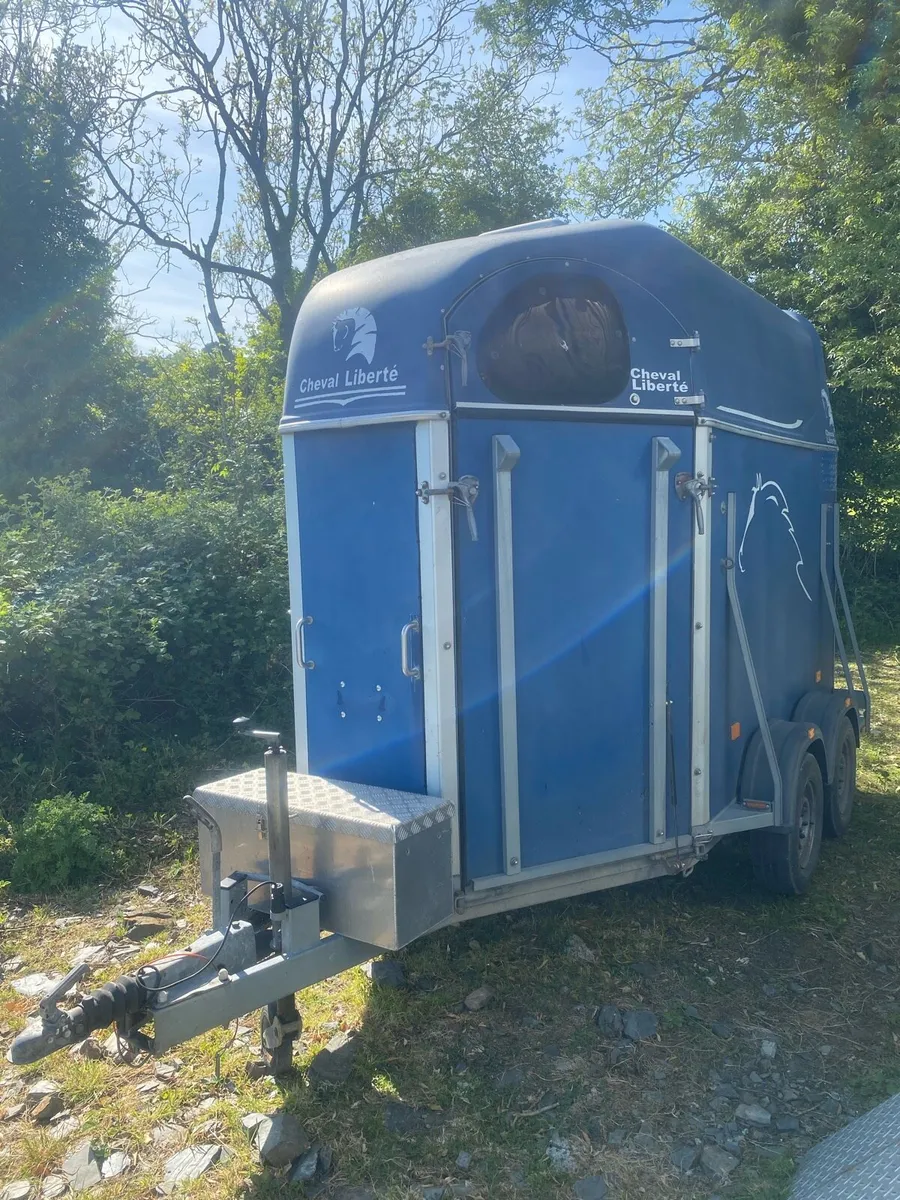Cheval liberte horsebox - Image 2