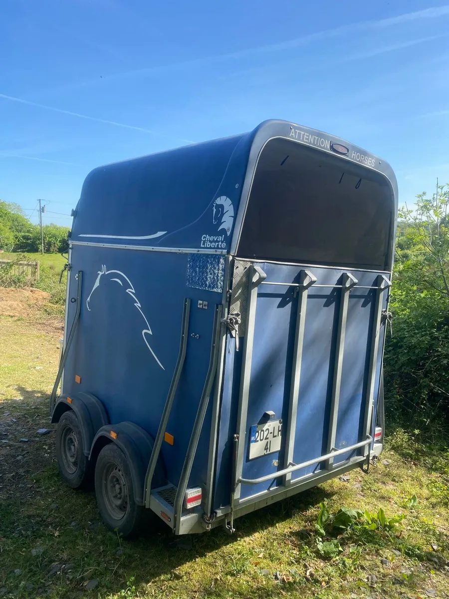 Cheval liberte horsebox - Image 3