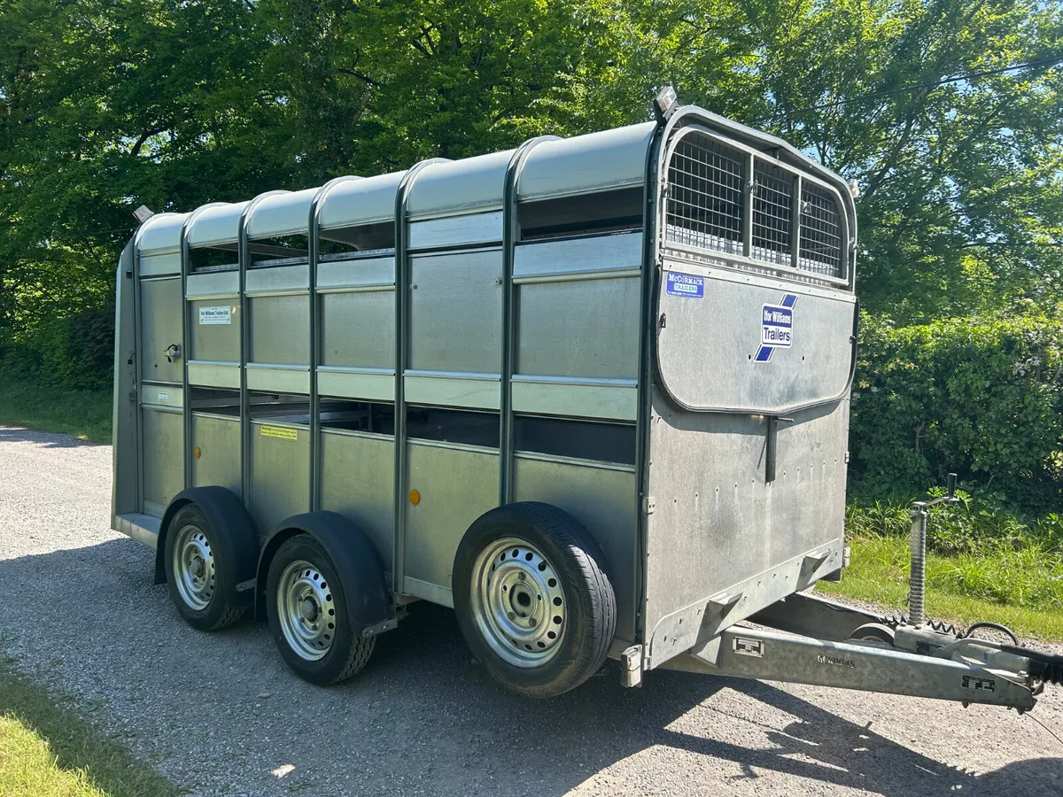 2016 Ifor Williams Ta510 12ft with Sheep Decks - Image 4