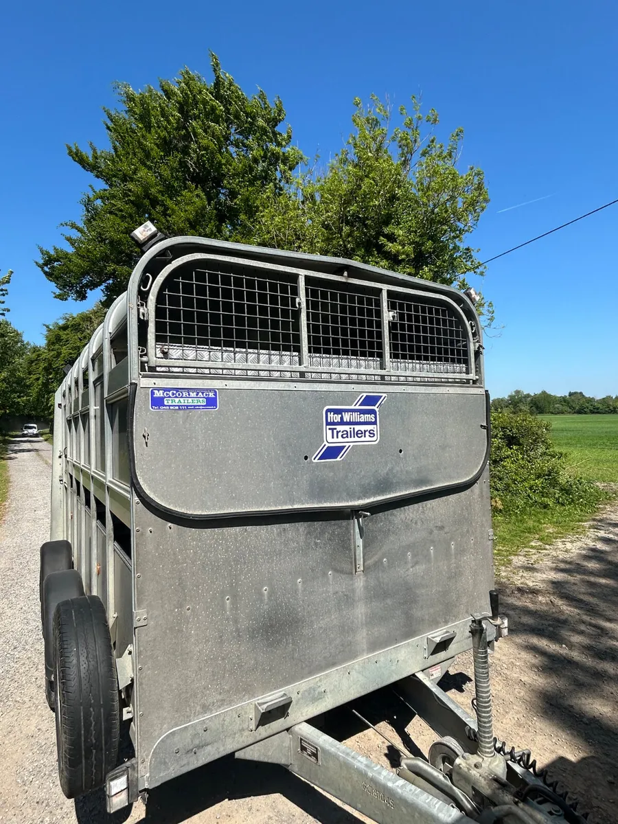 2016 Ifor Williams Ta510 12ft with Sheep Decks - Image 2