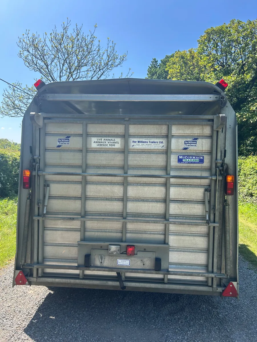 2016 Ifor Williams Ta510 12ft with Sheep Decks - Image 3