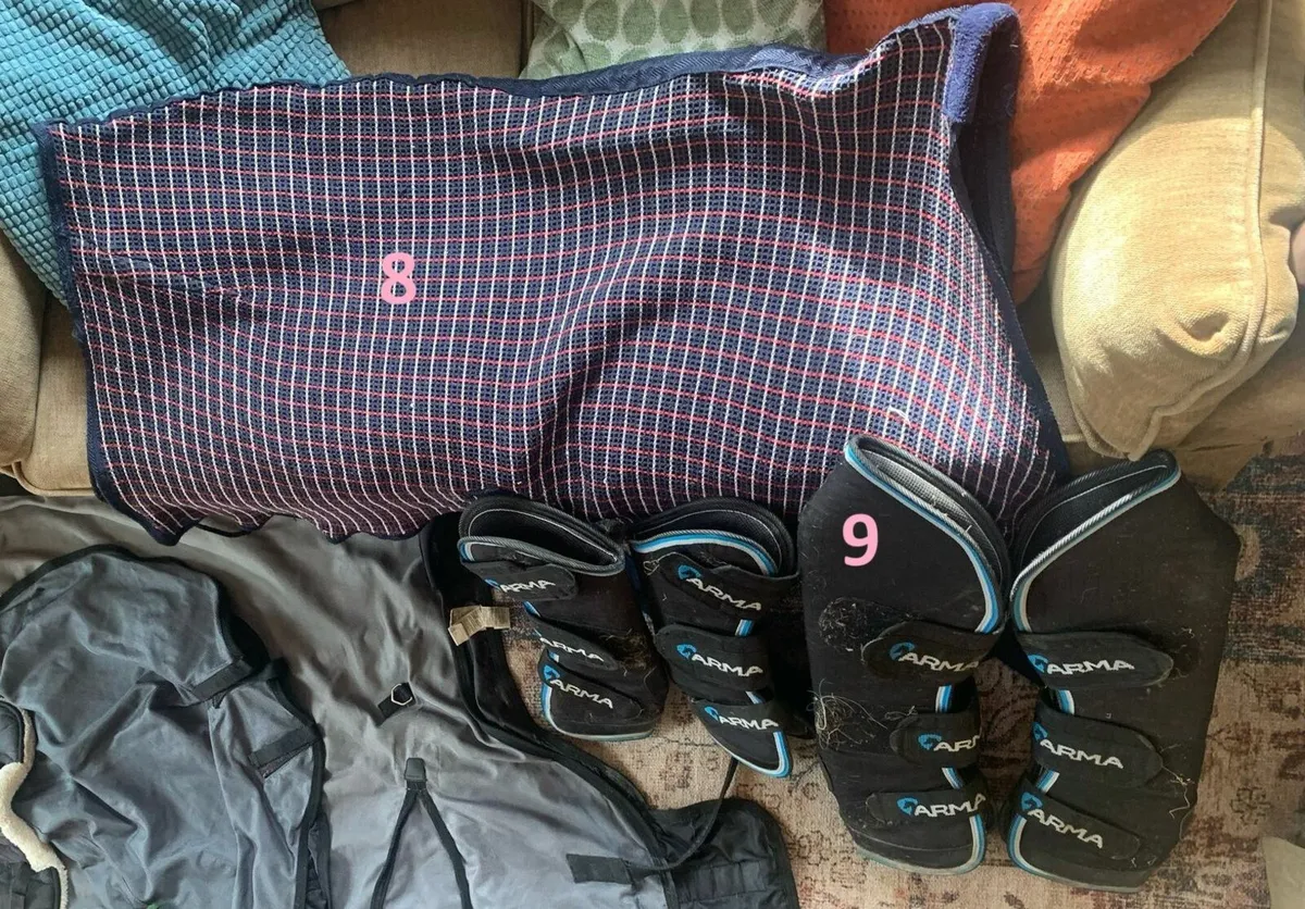 Equestrian Gear: Clothes and tack - Image 2