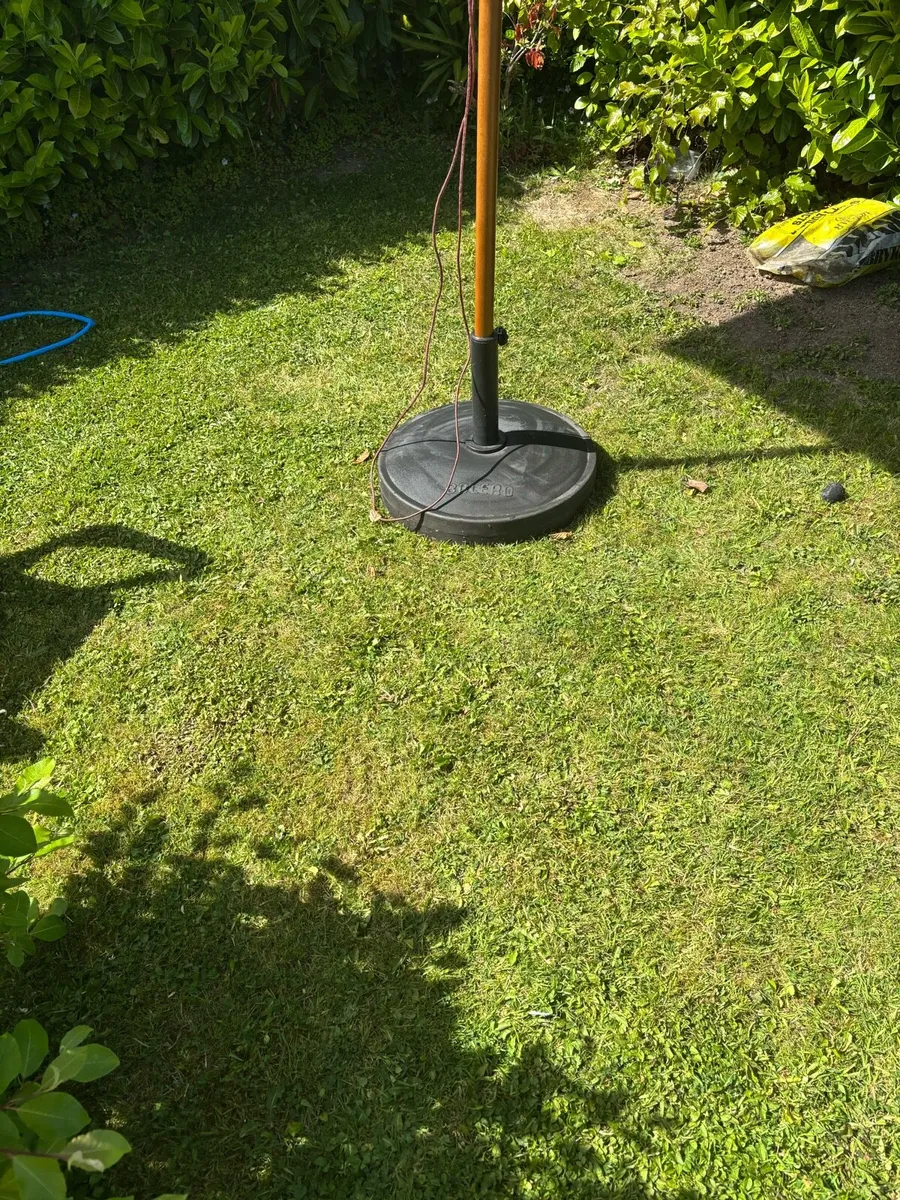 Umbrella - Image 4