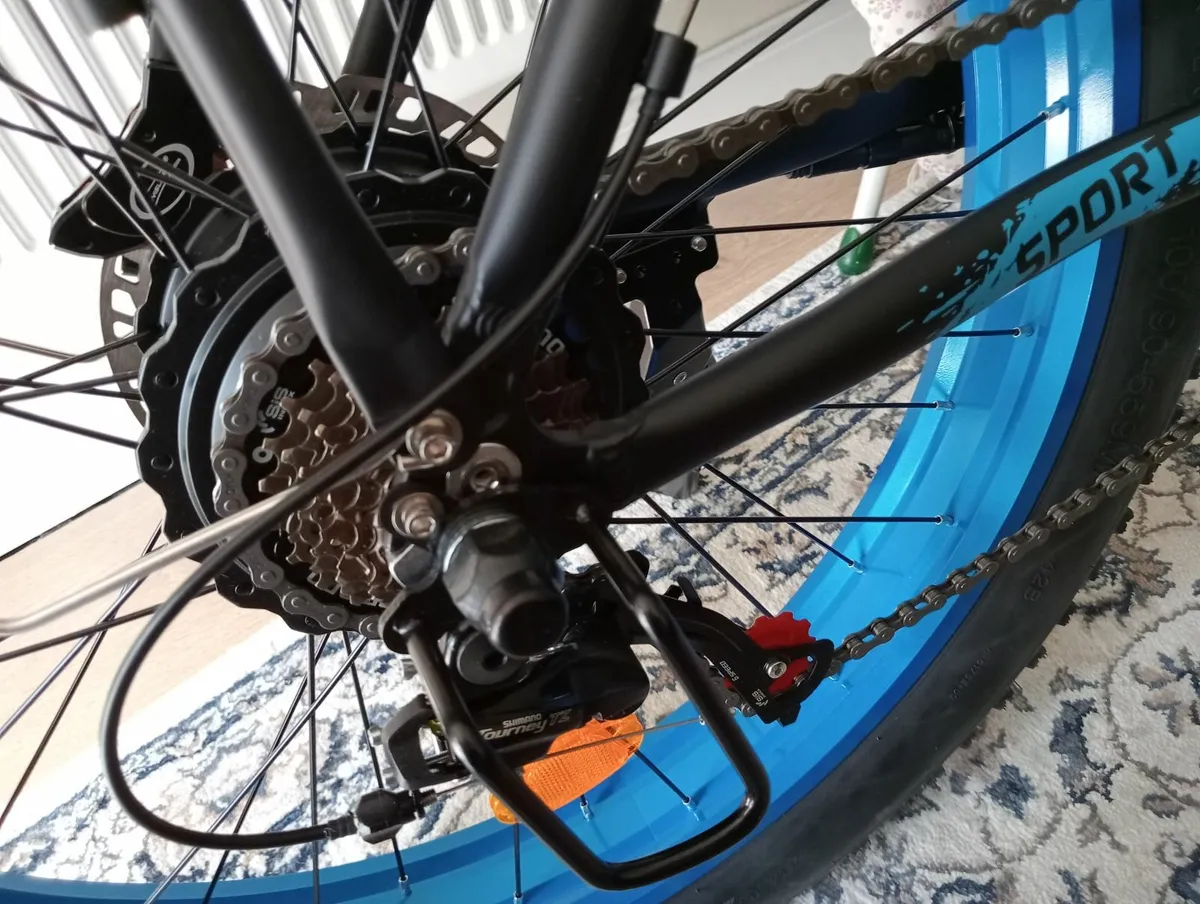 E-Bike New ,Philodo H8 AWD. 2 motors. - Image 3