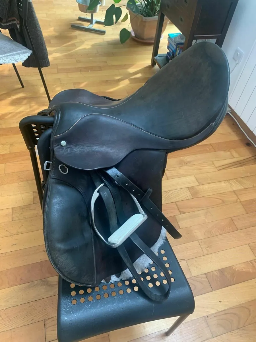 Saddle and bridle - Image 1