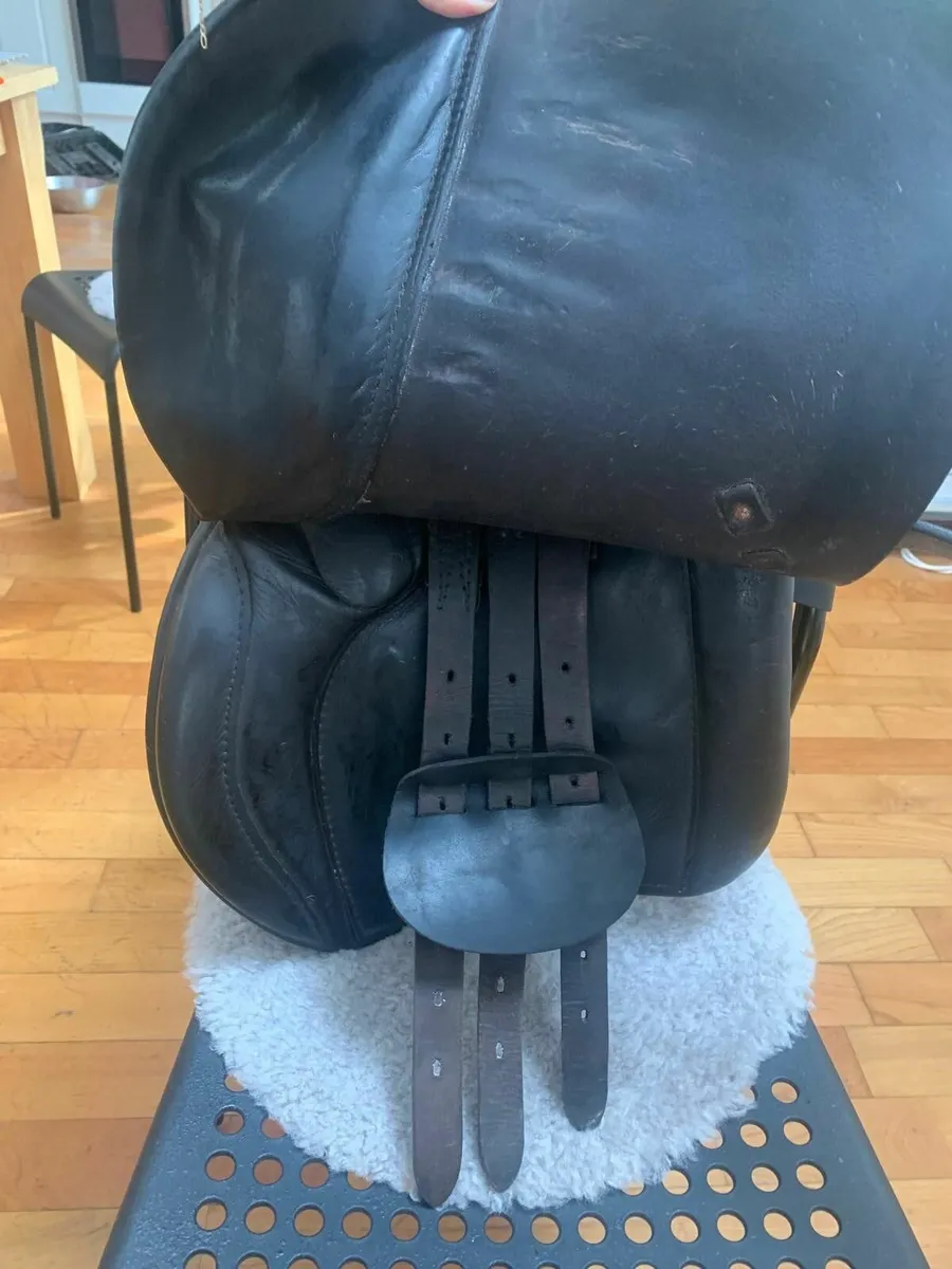 Saddle and bridle - Image 2