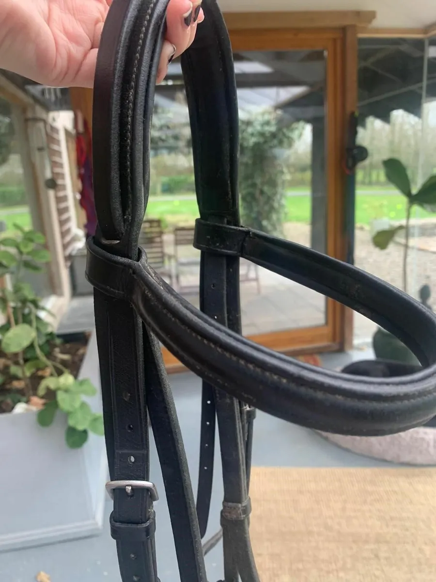 Saddle and bridle - Image 3