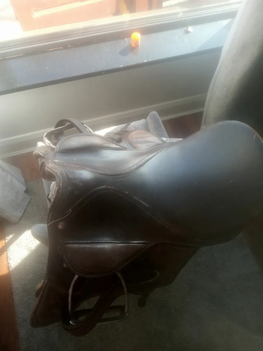 Very cheap saddle