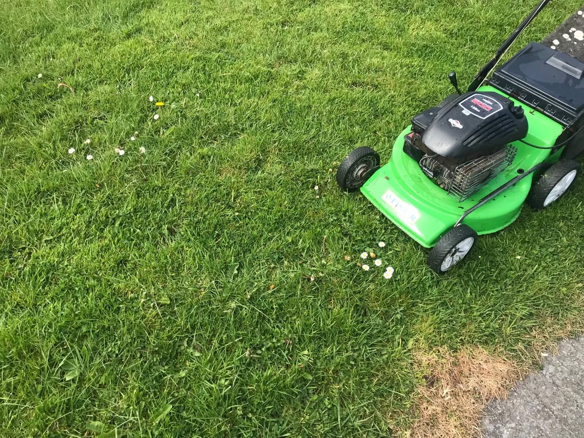 Briggs and stration Lawnmower - Image 3