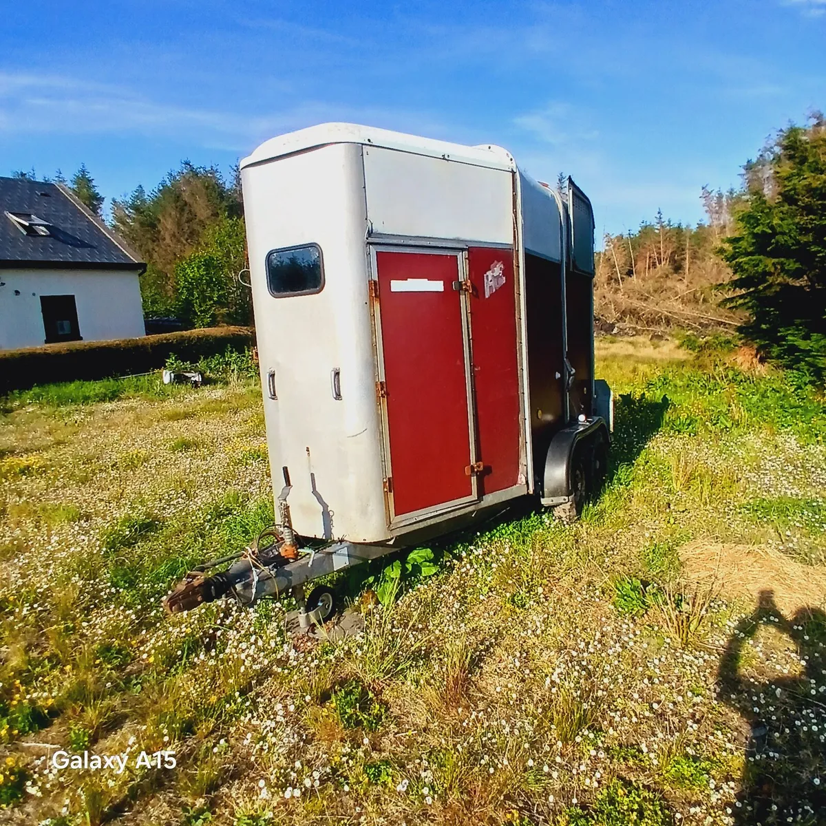 Ivor Williams Horse box - Image 2