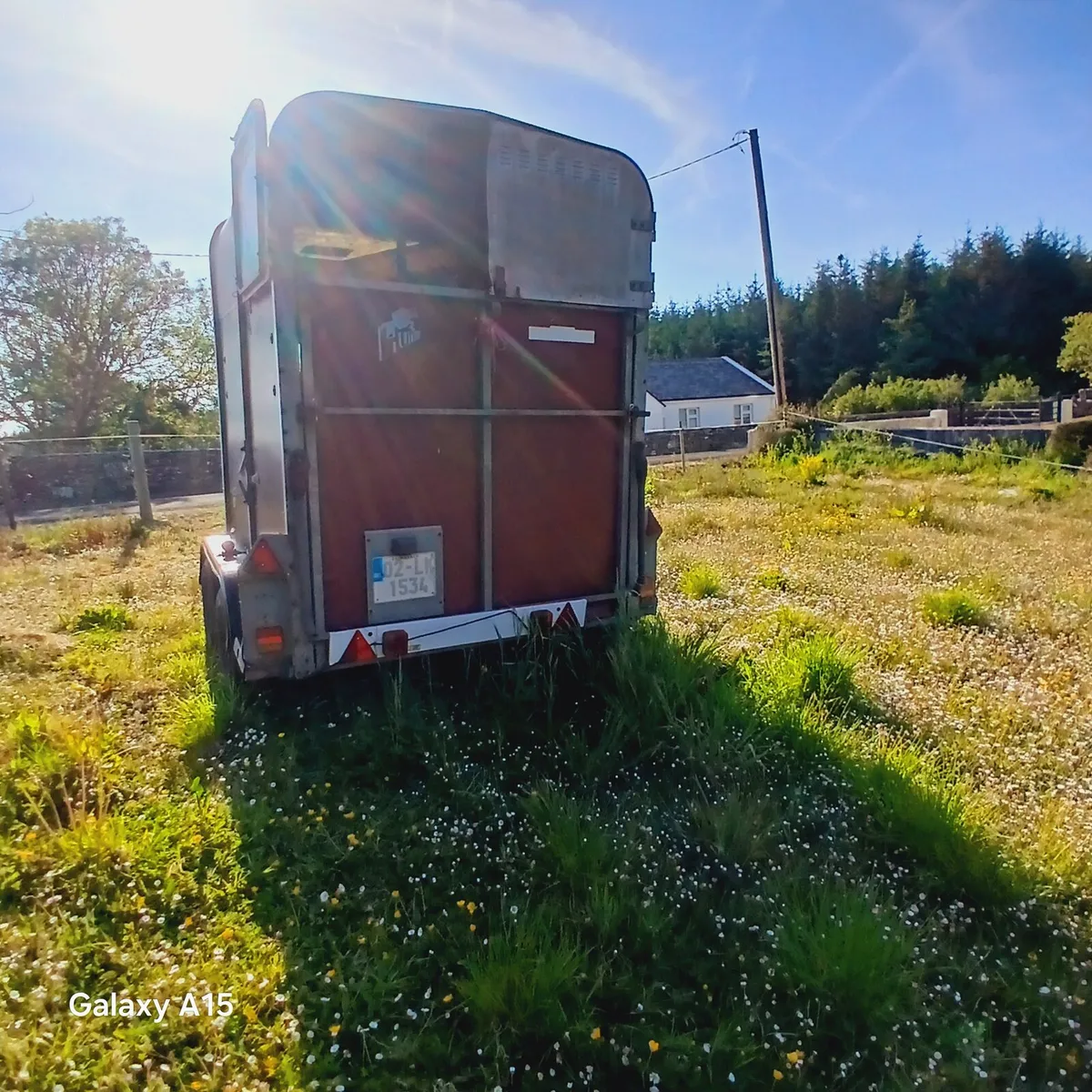 Ivor Williams Horse box - Image 4