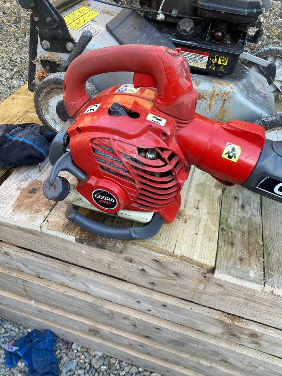 Blower - Image 1