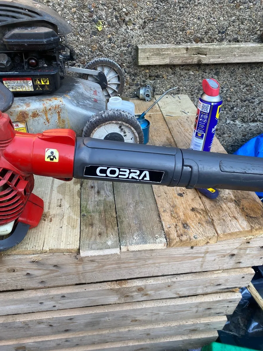 Blower - Image 2