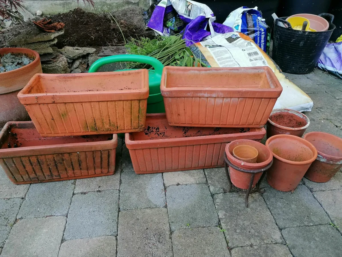 Frost proof terracotta pot selection